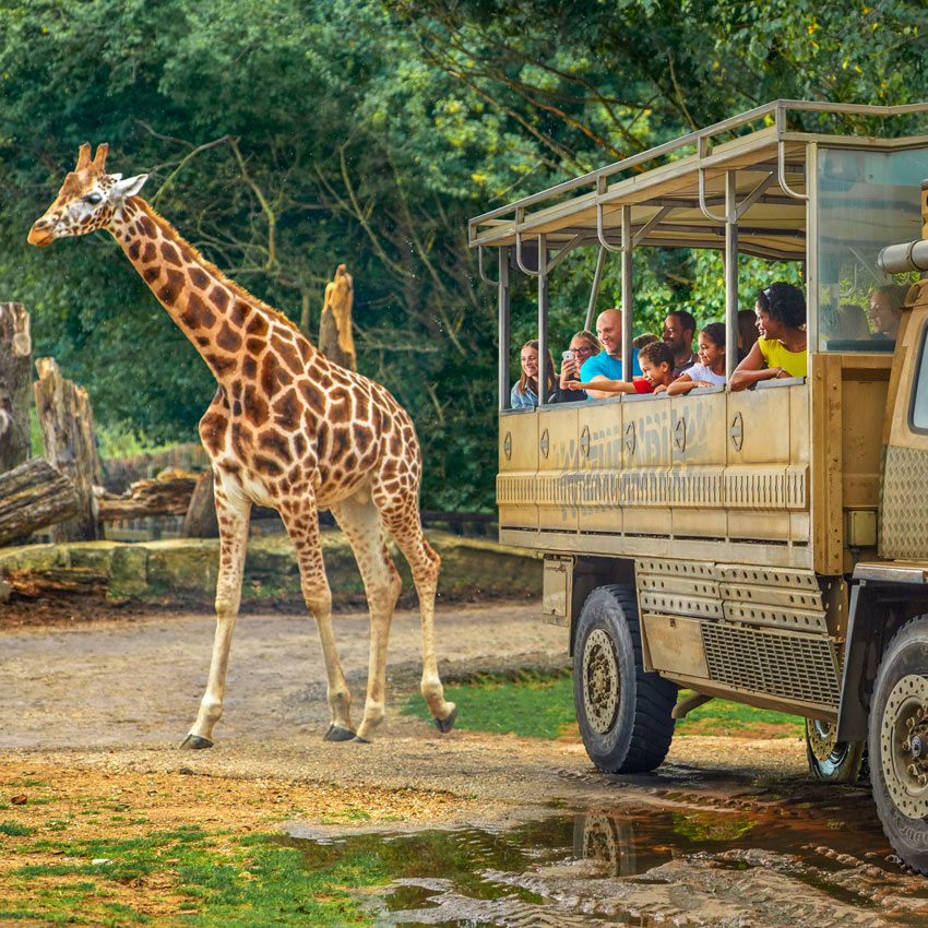 Chessington World of Adventures Resort